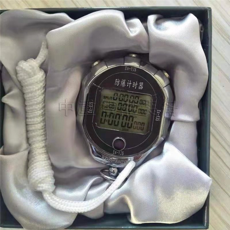 EX-YJS防爆計時器